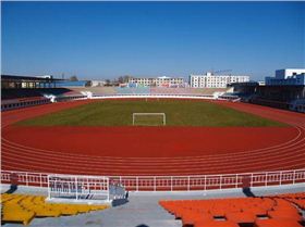 傳統塑膠跑道 金潤著色劑