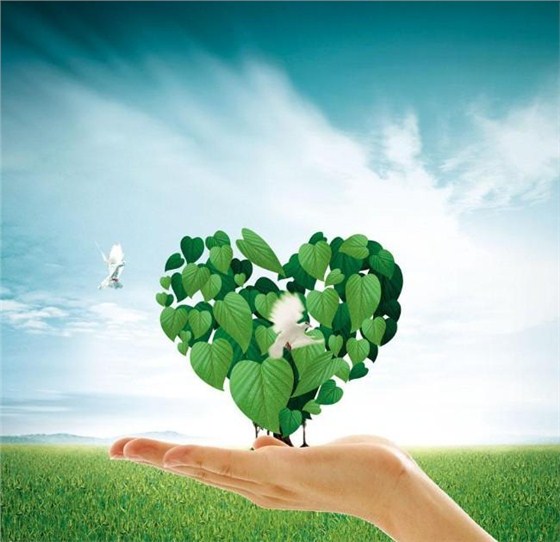 低碳環保 金潤彩色密封固化地坪