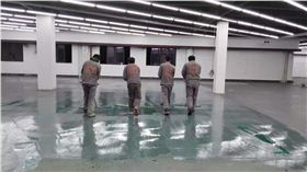 上顏色實拍 上顏色實拍