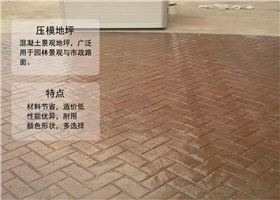 工廠車間地坪壓模地坪 工廠車間地坪壓模地坪